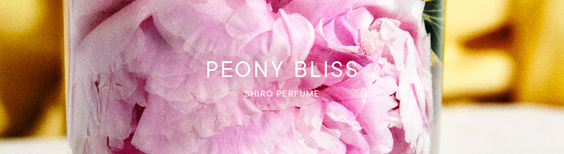 PEONY BLISS